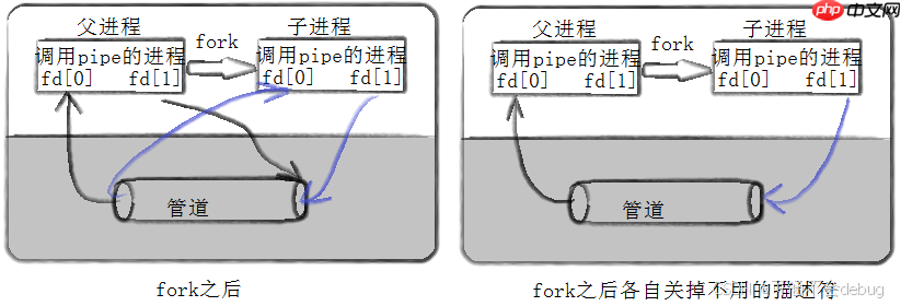 【Linux】解锁管道通信和共享内存通信，探索进程间通信的海洋