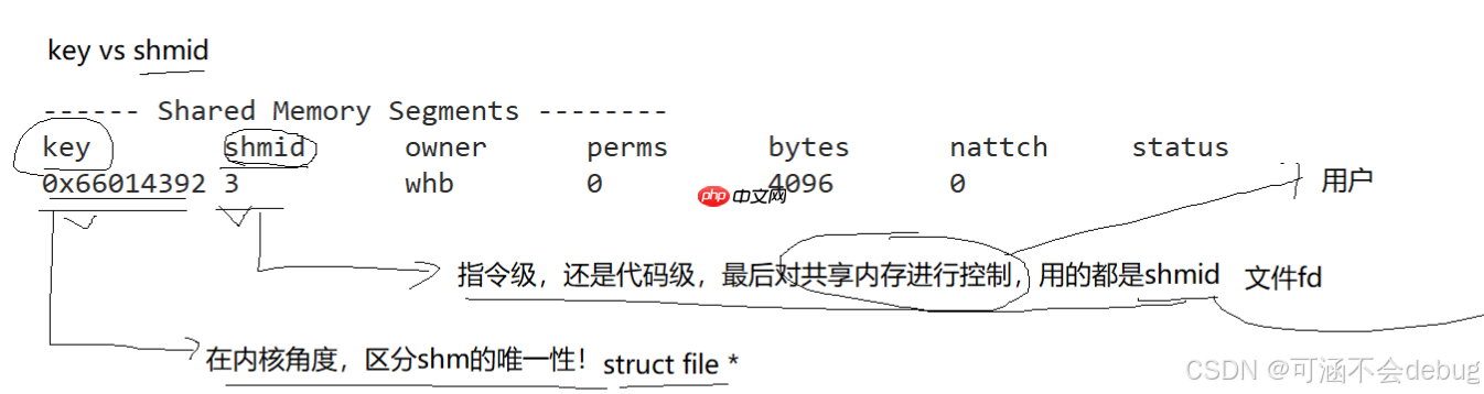 【Linux】解锁管道通信和共享内存通信，探索进程间通信的海洋
