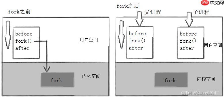 【Linux】进程详解:进程的创建&终止&等待&替换