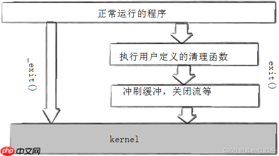 【Linux】进程详解:进程的创建&终止&等待&替换