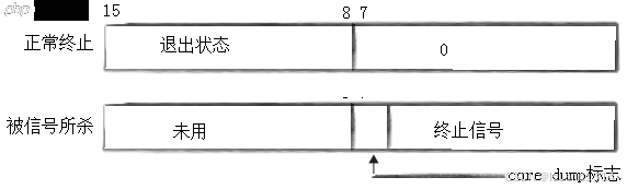 【Linux】进程详解:进程的创建&终止&等待&替换