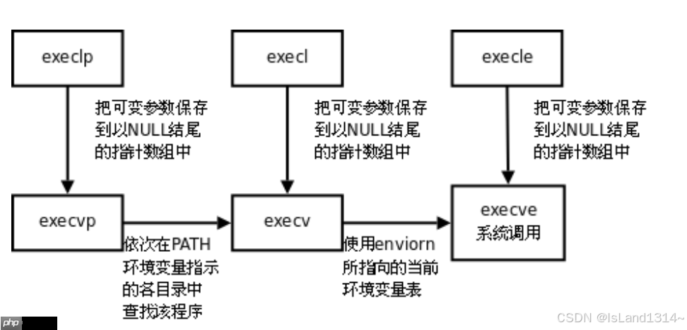 【Linux】进程详解:进程的创建&终止&等待&替换