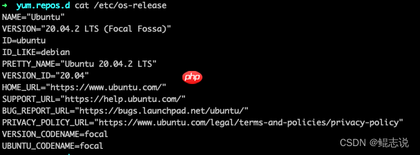 查看linux操作系统版本：Ubuntu？Centos？还是其他？