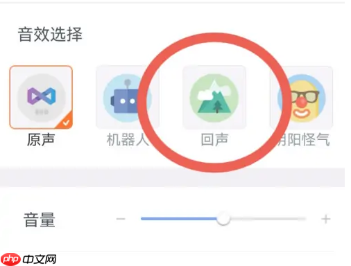 讯飞语记怎么改声音