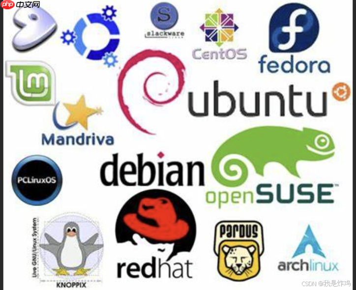 初识Linux · 基本指令(1)
