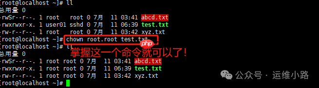 Linux权限-chown命令