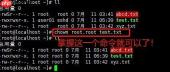 Linux权限-chown命令