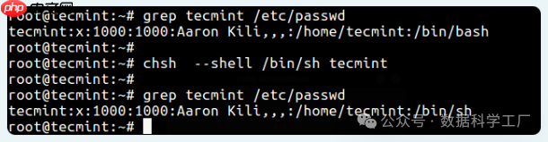 Linux 如何更改默认 Shell