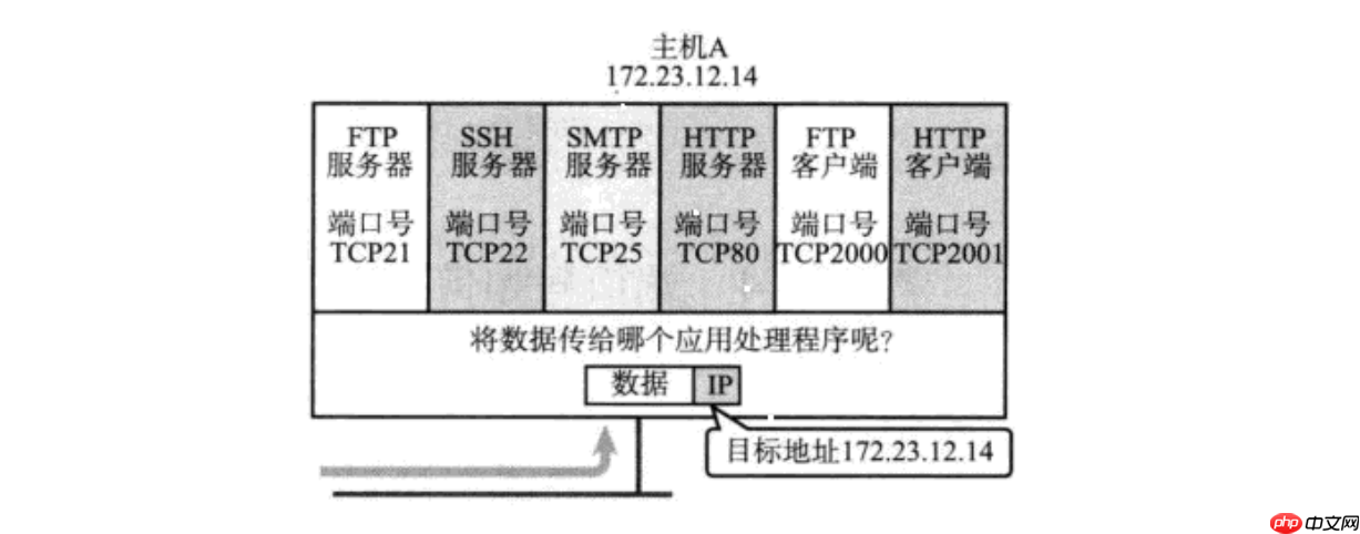【Linux网络】网络基础：传输层UDP/TCP协议（一）