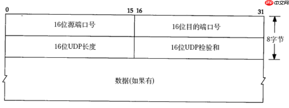 【Linux网络】网络基础：传输层UDP/TCP协议（一）