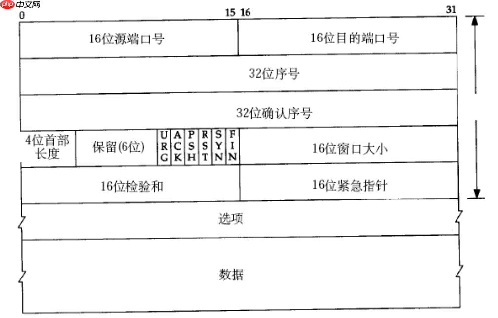 【Linux网络】网络基础：传输层UDP/TCP协议（一）