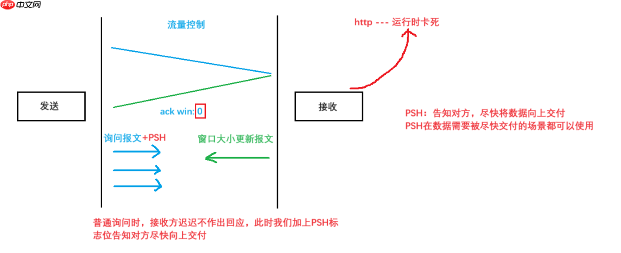 【Linux网络】网络基础：传输层UDP/TCP协议（一）
