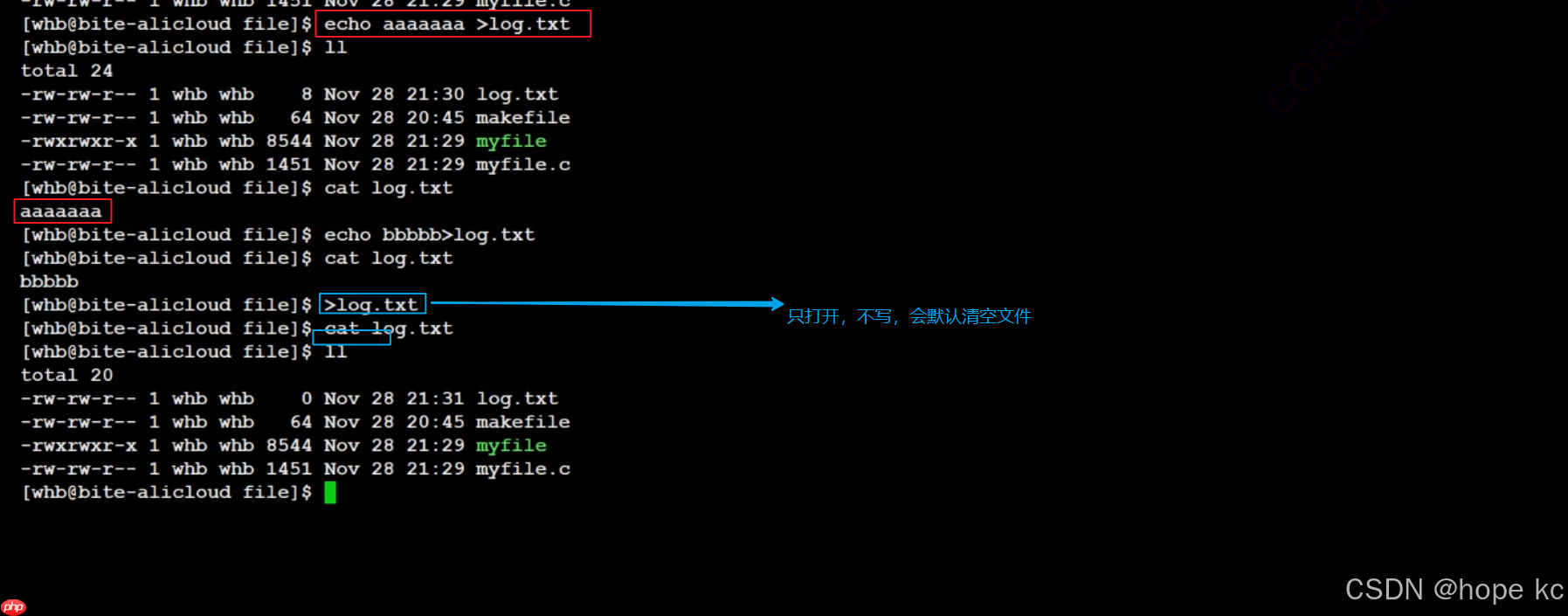 Linux探秘坊-------10.基础IO