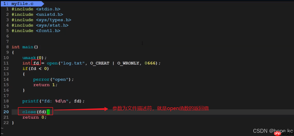 Linux探秘坊-------10.基础IO