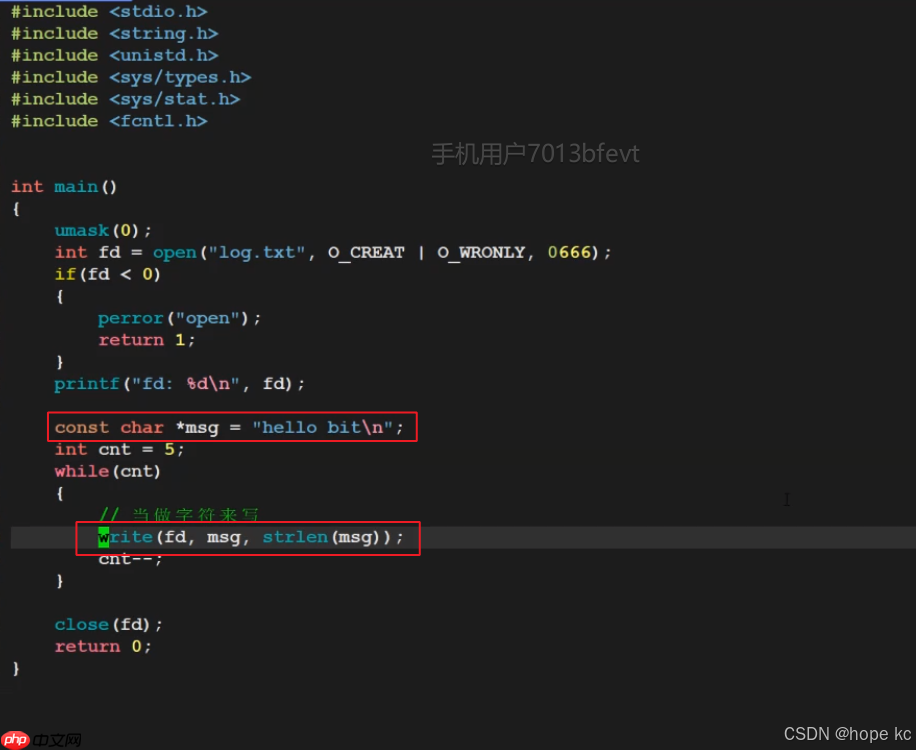 Linux探秘坊-------10.基础IO