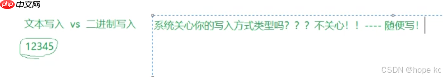 Linux探秘坊-------10.基础IO