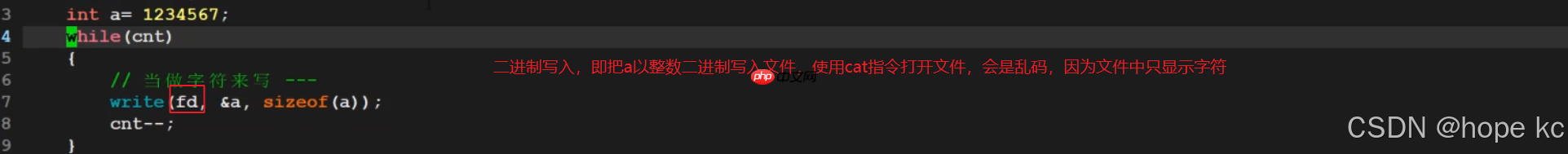 Linux探秘坊-------10.基础IO