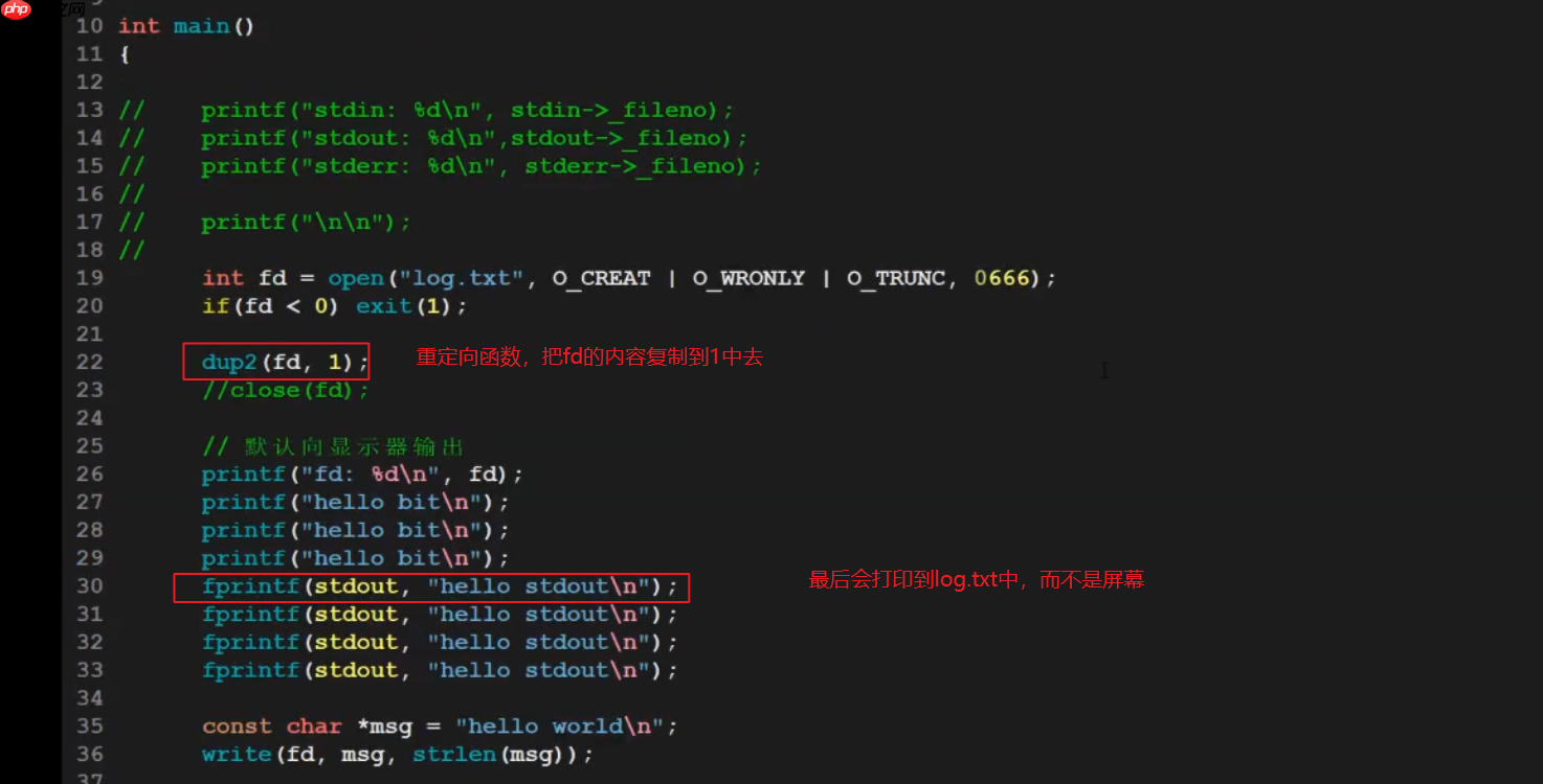Linux探秘坊-------10.基础IO