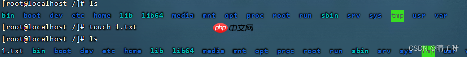 Linux 基础入门