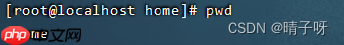 Linux 基础入门