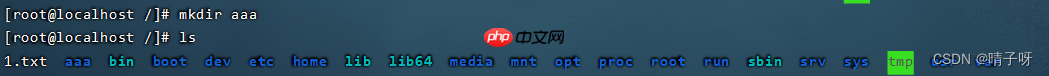 Linux 基础入门