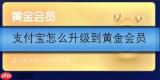 支付宝怎么升级到黄金会员