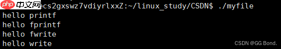 【Linux探索学习】第二十二弹——用户缓冲区：系统如何更好的控制数据交互