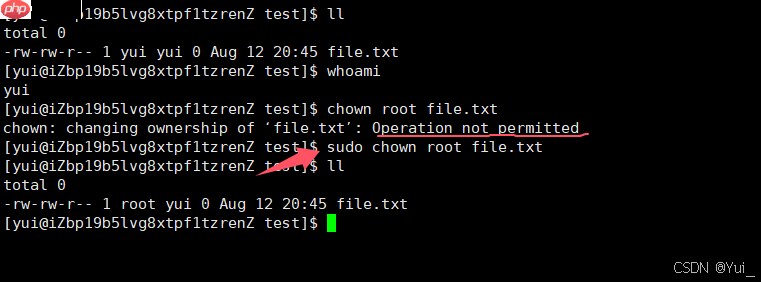 shell外壳与Linux权限