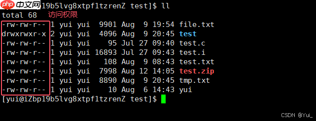 shell外壳与Linux权限