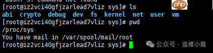 Linux内核-proc文件系统