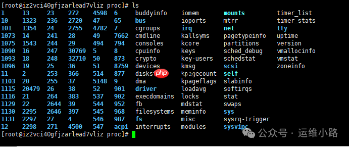 Linux内核-proc文件系统