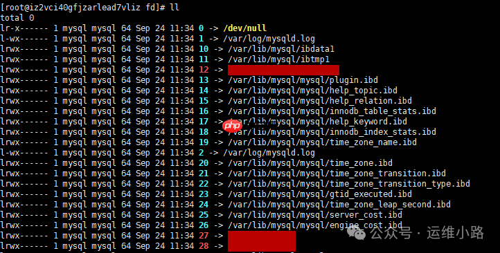 Linux内核-proc文件系统