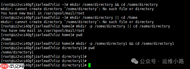 Linux進階命令-邏輯或&amp;邏輯與