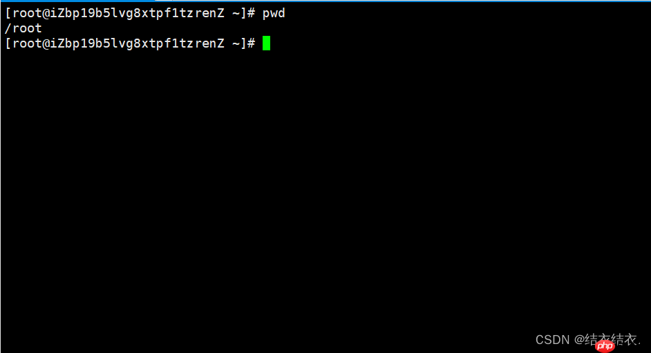 初识Linux——基本指令（详解）1