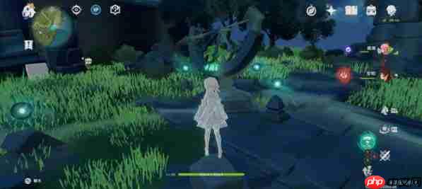 原神世界任务时与风任务怎么做-原神世界任务时与风任务攻略