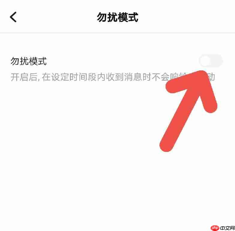 TT语音怎么开启勿扰模式
