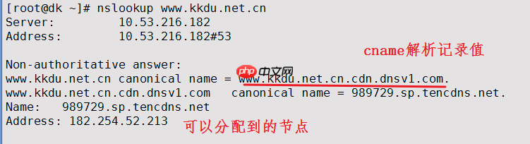 cdn訪問報錯564問題排查方法-小浪學習網