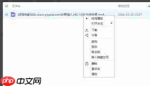 华为百度网盘无法下载怎么解决