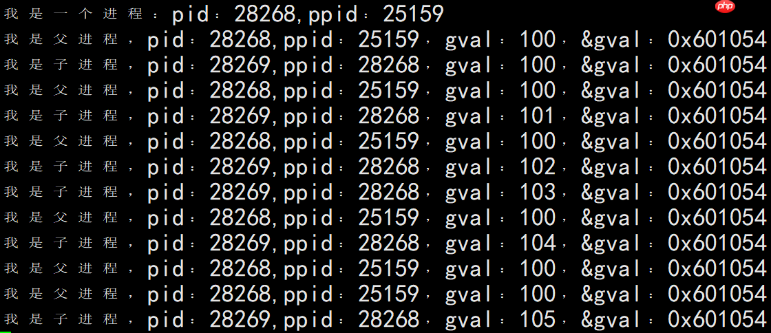 【Linux内核大揭秘】程序地址空间