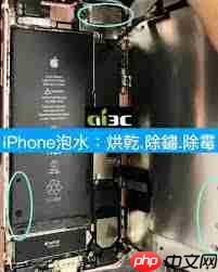 iphone进水怎么解决