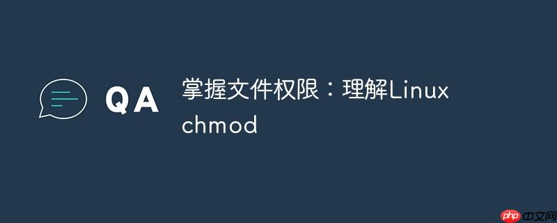 掌握文件权限：理解linux chmod