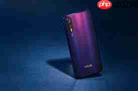 vivo Z5屏幕材质了解