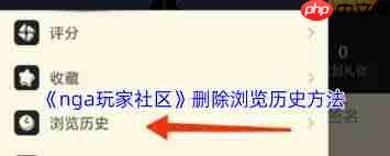 nga如何清除浏览记录