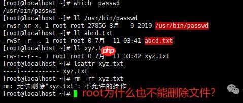 Linux权限-特殊权限