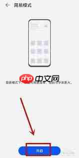 荣耀图标太大了怎么调小