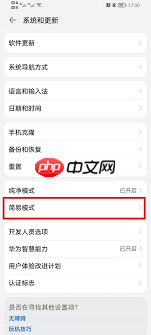 荣耀手机简易模式设置方法