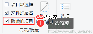 U盘文件夹被隐藏，如何恢复隐藏的文件夹