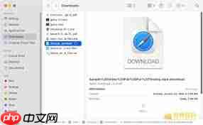 downloading什么格式的文件
