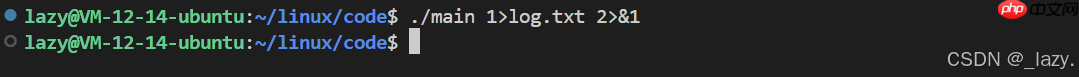 初识Linux · 重定向和缓冲区(续)