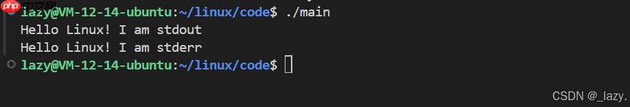 初识Linux · 重定向和缓冲区(续)